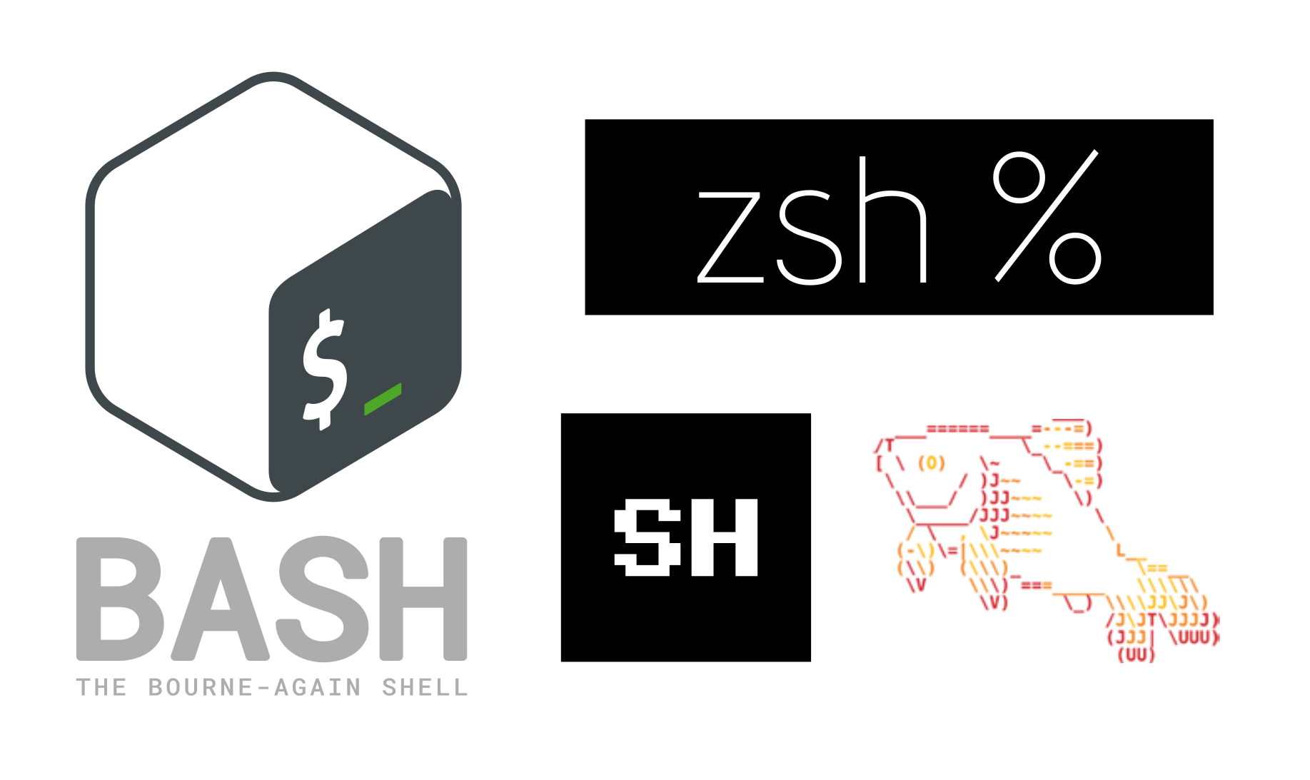 Shells de Linux: bash, zsh, fish o sh